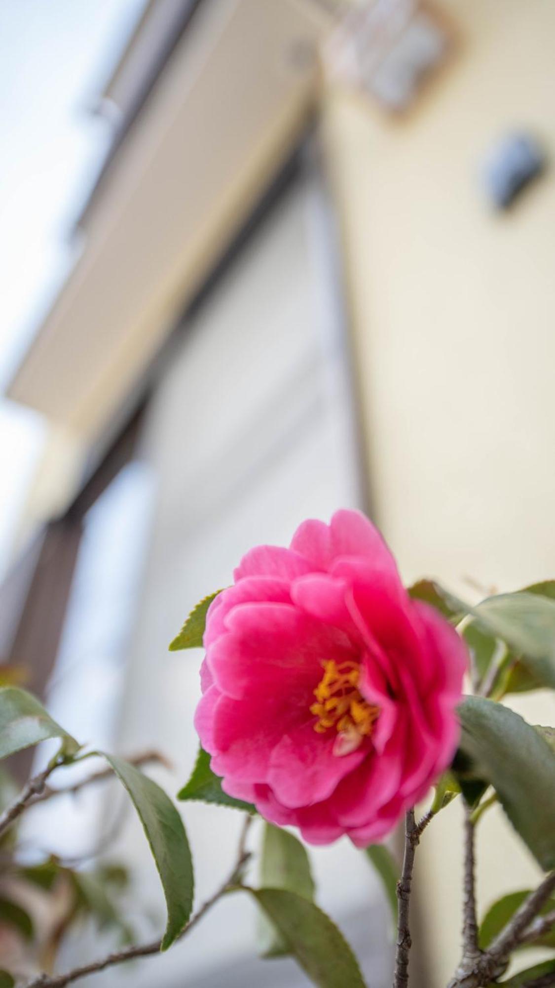 美築粟田 Apartment Kyoto Exterior photo