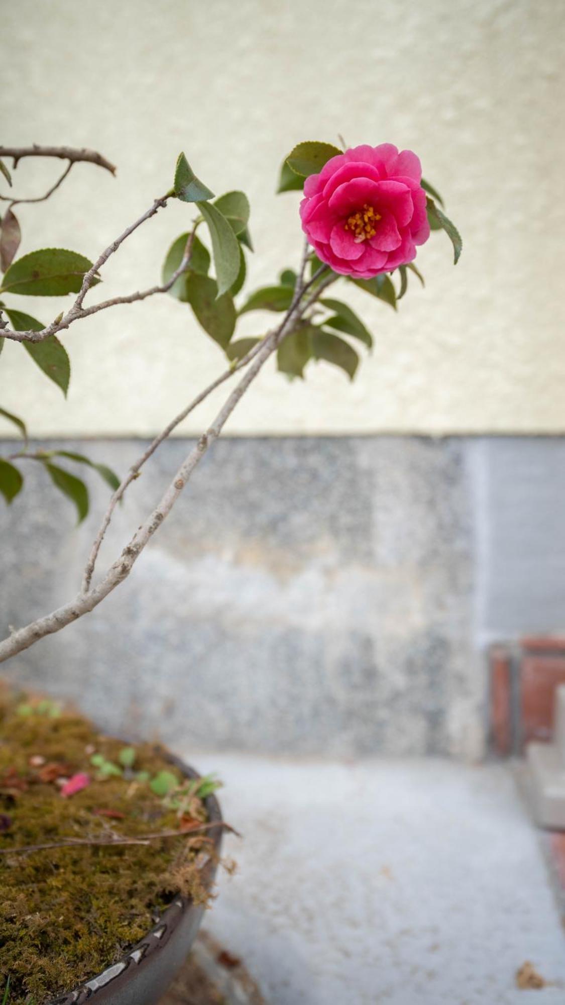 美築粟田 Apartment Kyoto Room photo